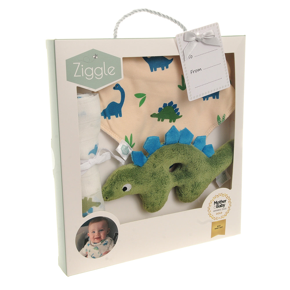 Gift set: Bib Rattle Washcloth Dino Ziggle