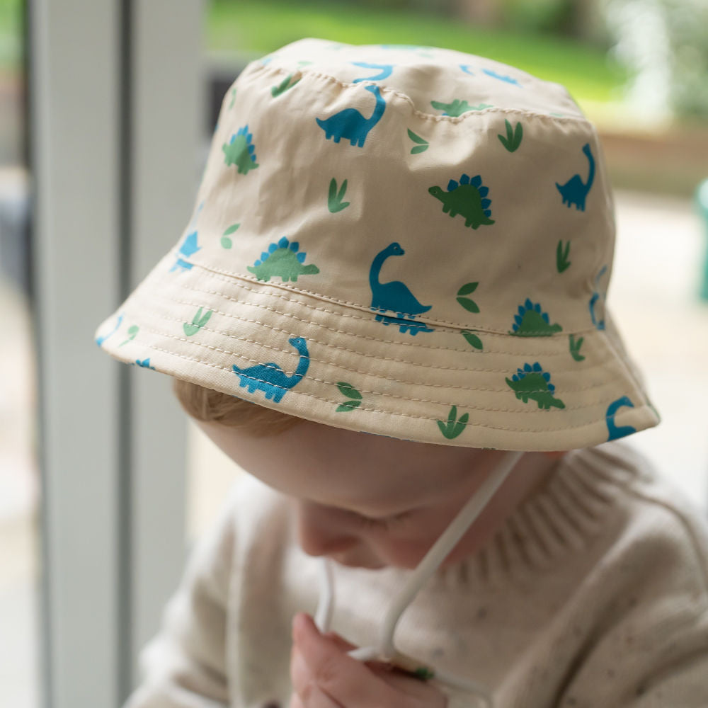 The "First Steps & Epic Falls" Dinosaur Grand Explorer Hamper