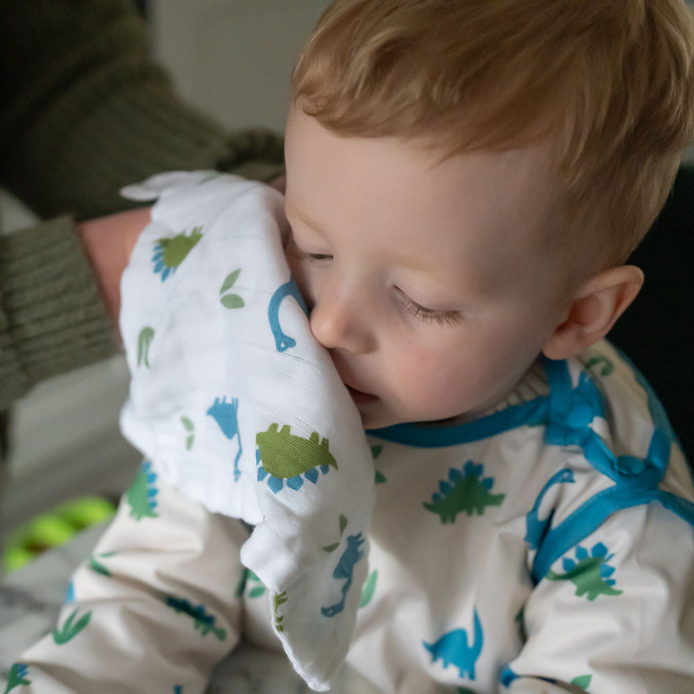 The "Sticky Fingers & Sweet Snuggles" Dinosaur Cleanup Crew Hamper £65 Ziggle