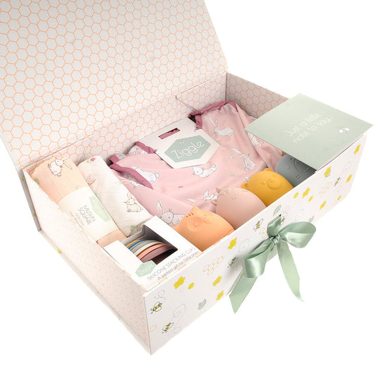 "Let's Get Messy" Bunnies Play Kit Hamper Ziggle