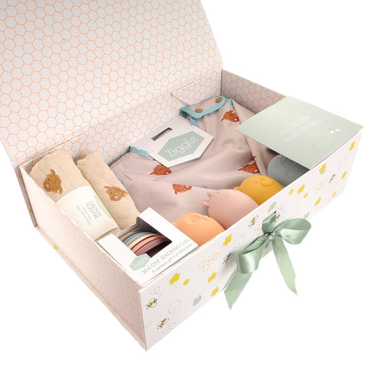 "Let's Get Messy" Highland Cow Play Kit Hamper Ziggle