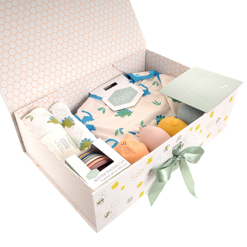 "Let's Get Messy" Dinosaur Play Kit Hamper