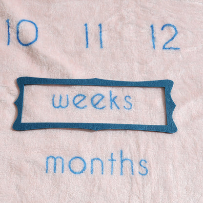 Bunnies Milestone Blanket