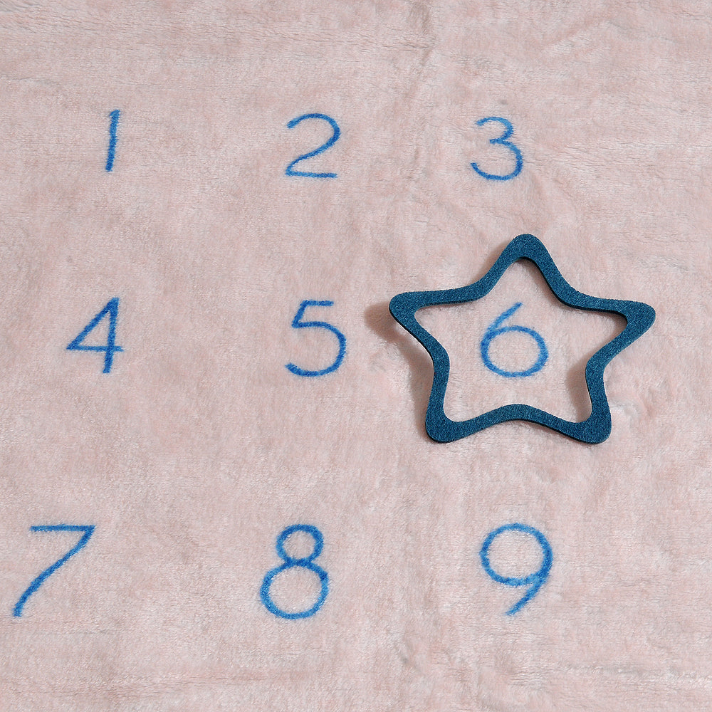 Bunnies Milestone Blanket