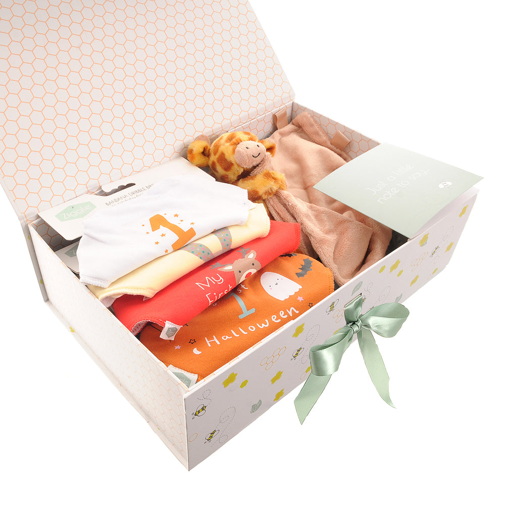 Baby's First Year "Milestones" Hamper £50 with Giraffe Comforter Blanket Ziggle