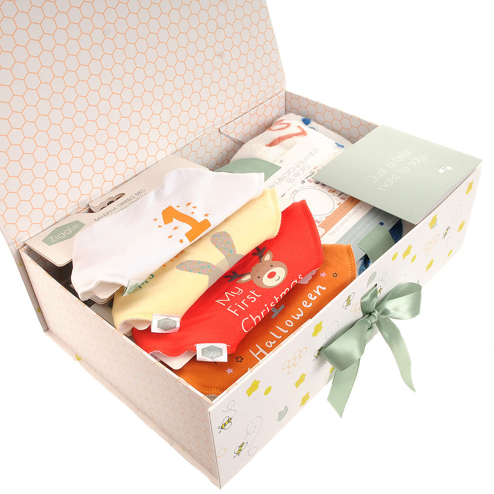 Baby's First Year "Milestones" Hamper £50 with Comforter Blanket Ziggle