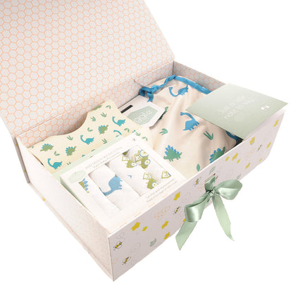 The "Sticky Fingers & Sweet Snuggles" Dinosaur Cleanup Crew Hamper £40 Ziggle