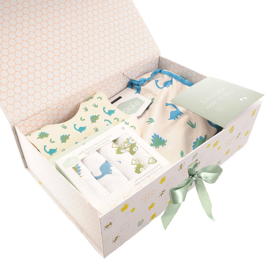 The "Sticky Fingers & Sweet Snuggles" Dinosaur Cleanup Crew Hamper £40 Ziggle