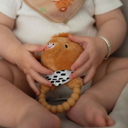 Highland Cow Baby Essentials Gift Set Ziggle