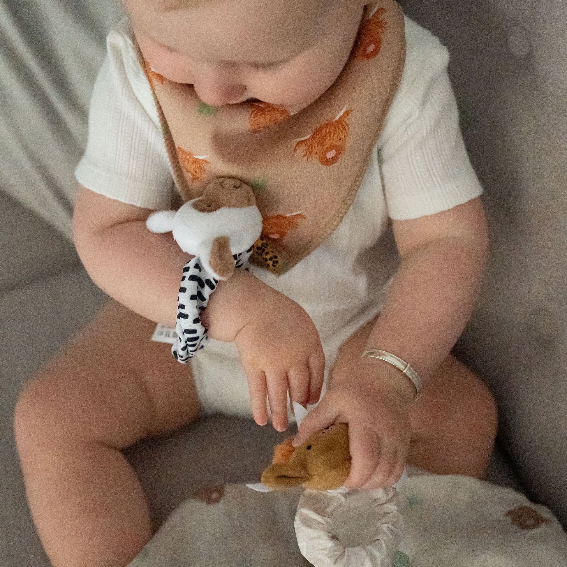 Plush Highland Cow and Sheep Wrist Rattles Ziggle