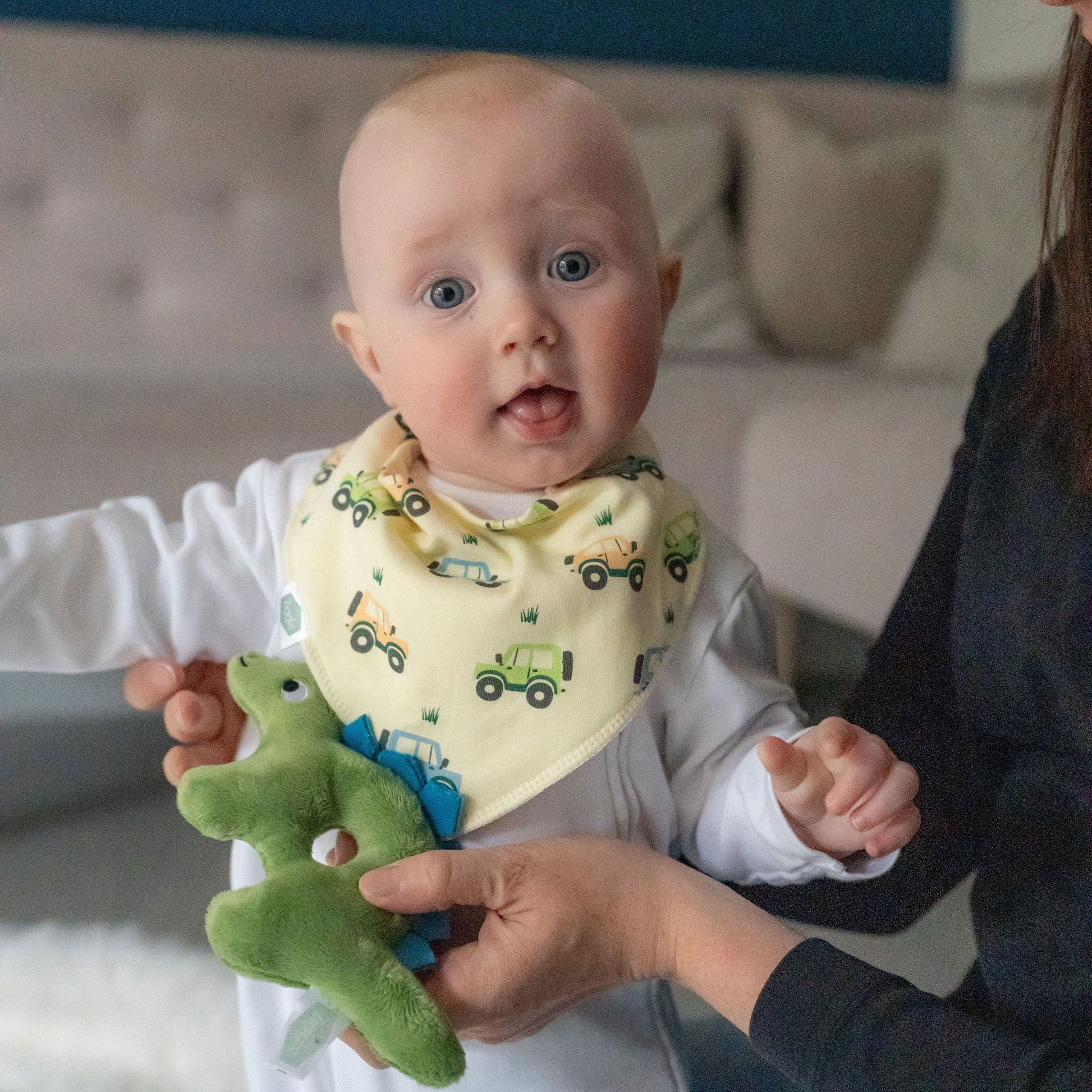 Dino Plush Baby Rattle Ziggle