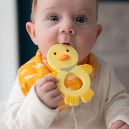 Duck Teether Silicone Ziggle