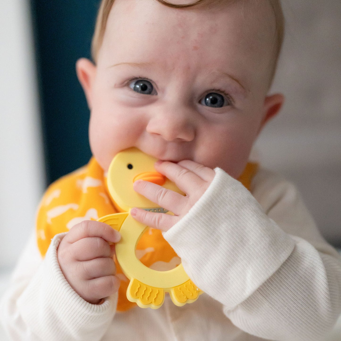 Duck Teether Silicone Ziggle