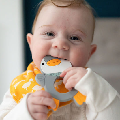 Penguin Teether Silicone Ziggle