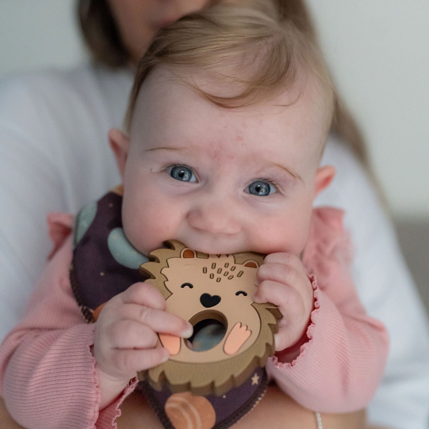 Hedgehog Teether Silicone Ziggle