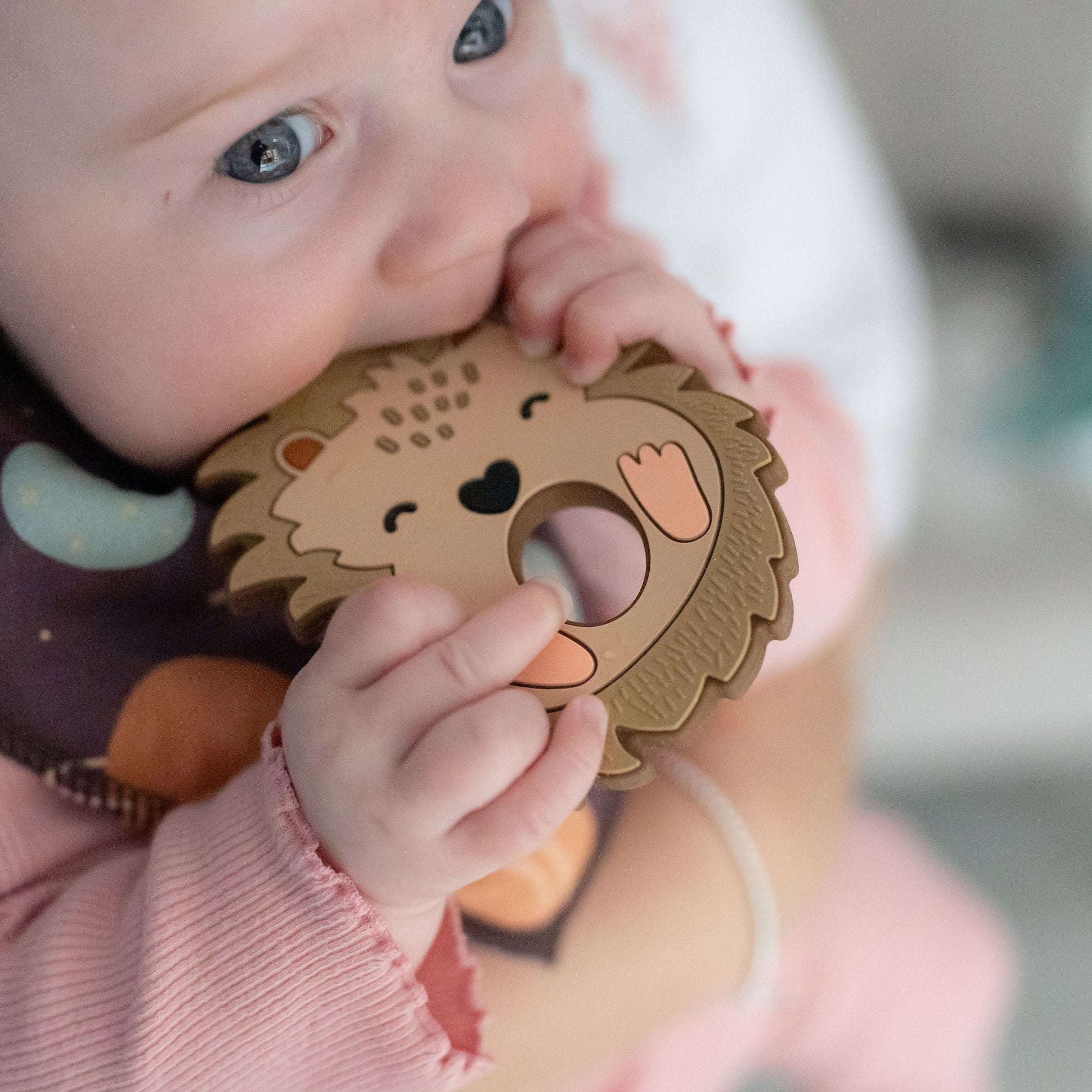 Hedgehog Teether Silicone Ziggle