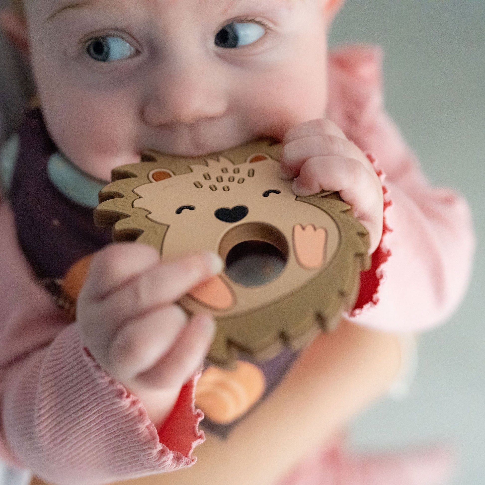 Hedgehog Teether Silicone Ziggle