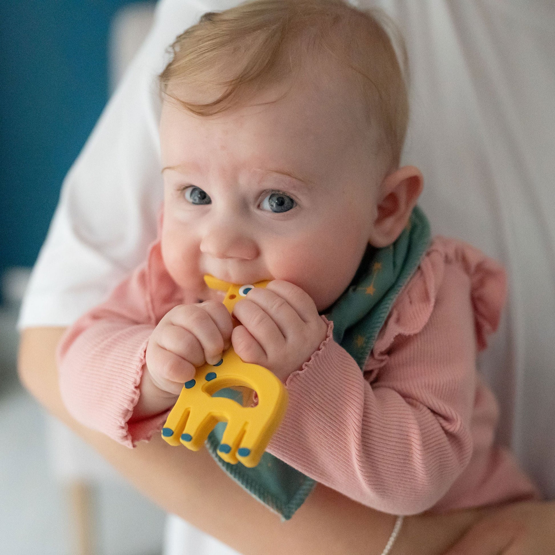 Giraffe Teether Silicone Ziggle