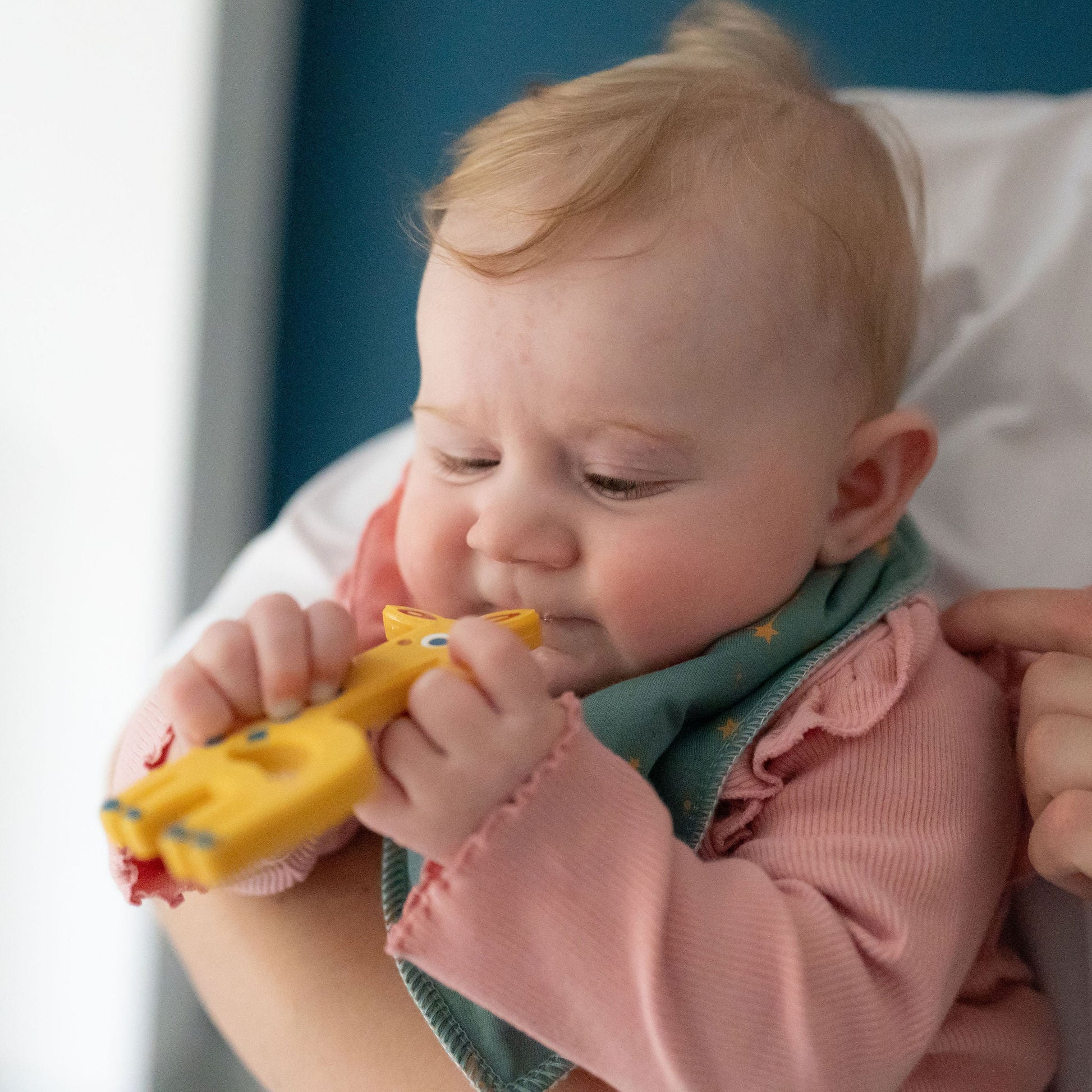 Giraffe Teether Silicone Ziggle