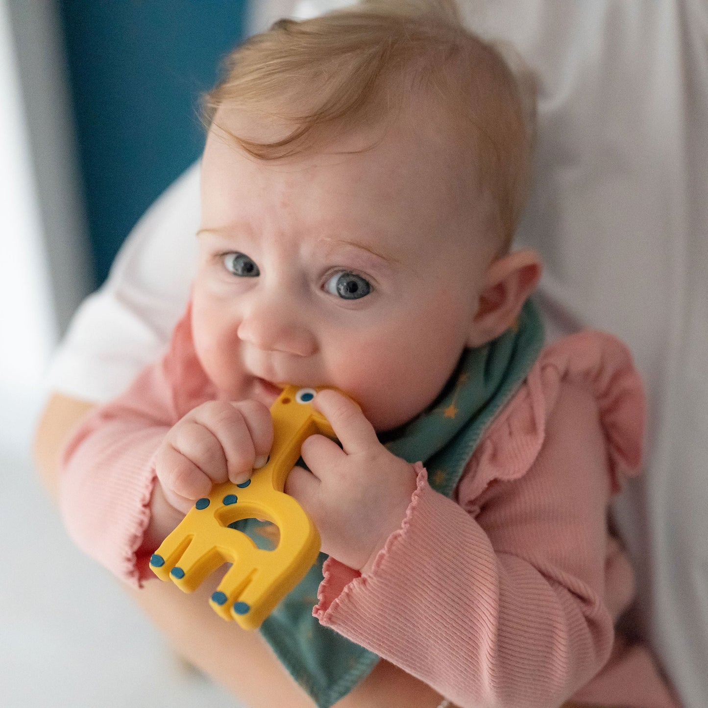Giraffe Teether Silicone Ziggle