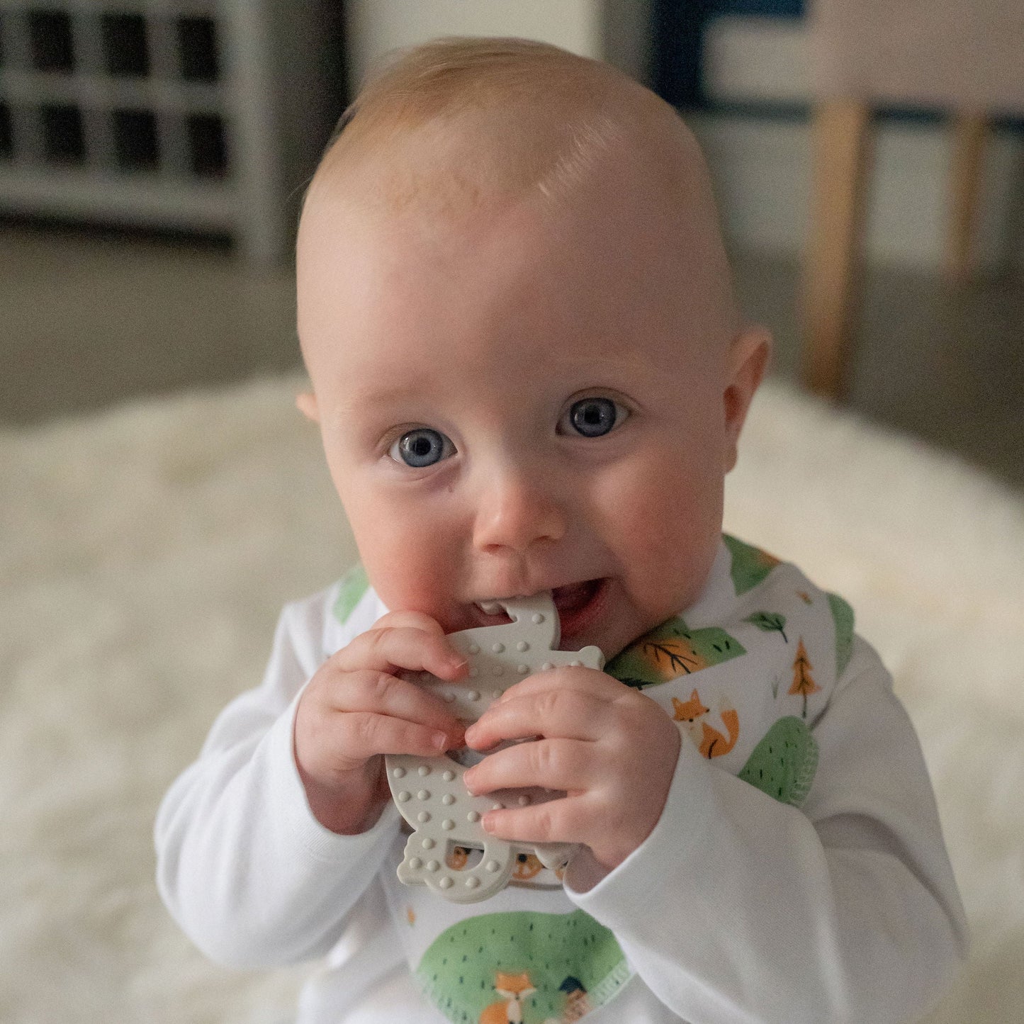 Elephant Teether Silicone Ziggle
