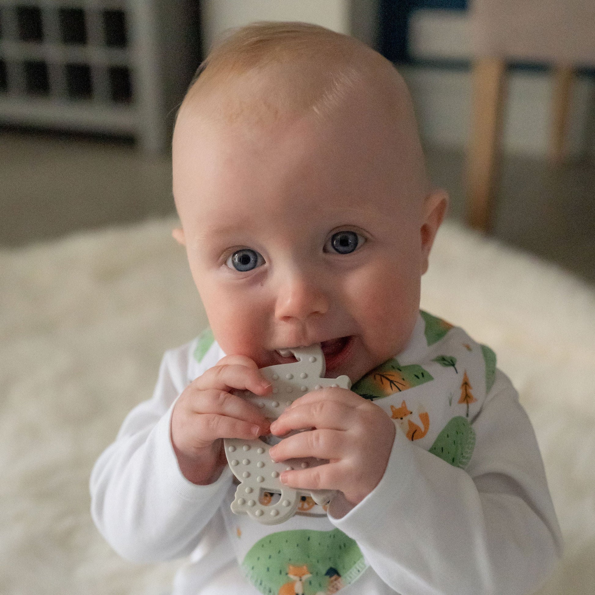 Elephant Teether Silicone Ziggle