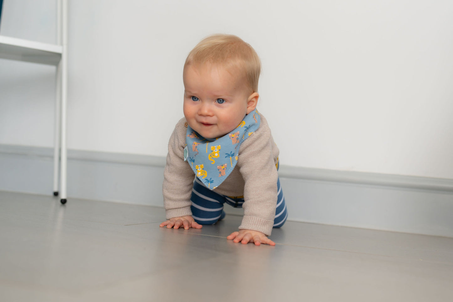 Savanna Animals Bib Set