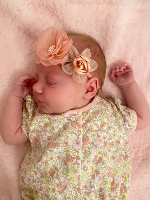 Pink Roses Hairbow Set